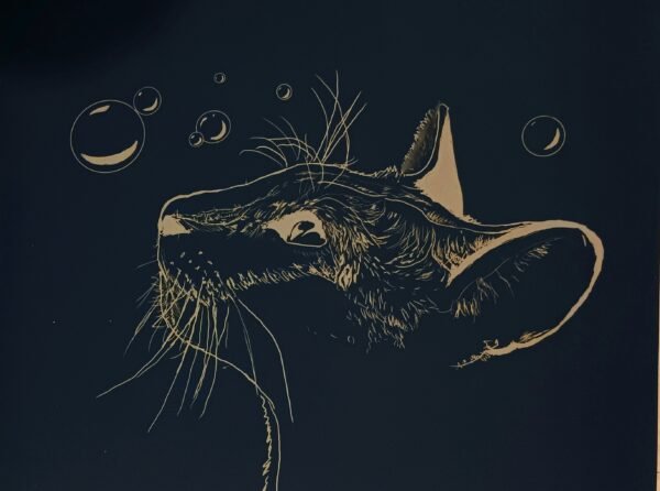 Bubble the Cat-Digital Art - Image 2